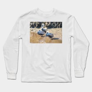 Brown pelican in Intracoastal Waterway Long Sleeve T-Shirt